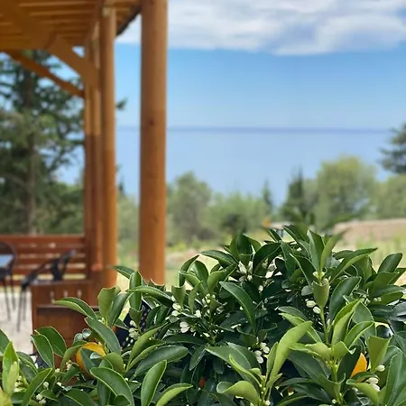 Summer Wine Boutique Apartamento Dhërmi
