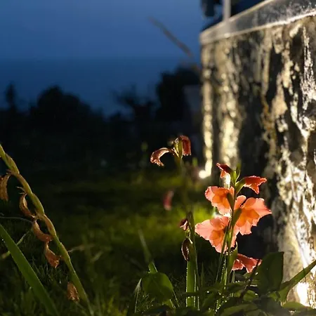 Summer Wine Boutique شقة