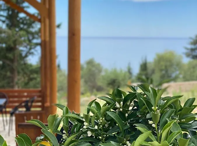 Summer Wine Boutique 公寓 Dhërmi